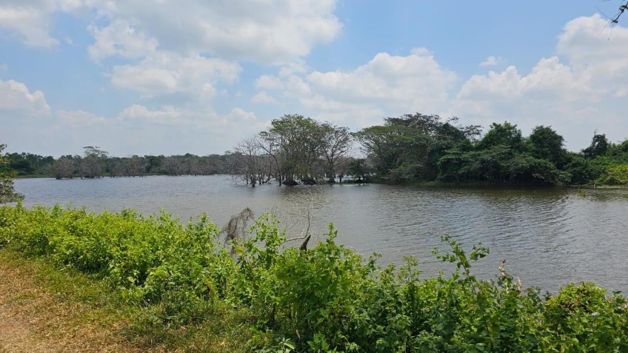 Aloe Vera Villa เนกอมโบ ภายนอก รูปภาพ