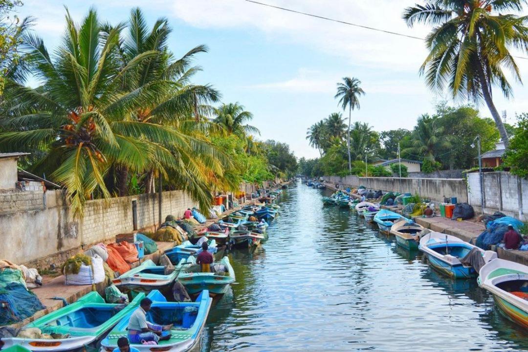 Aloe Vera Villa เนกอมโบ ภายนอก รูปภาพ